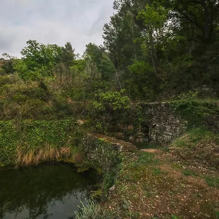 Gegant De Pedra